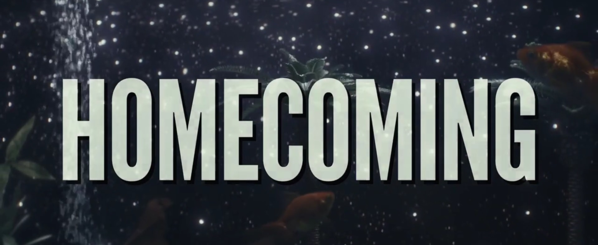 homecoming dizisi